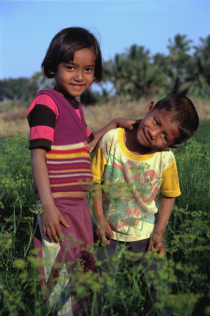 Kids from Kantaralak in the coriander field