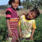 Kids from Kantaralak in the coriander field