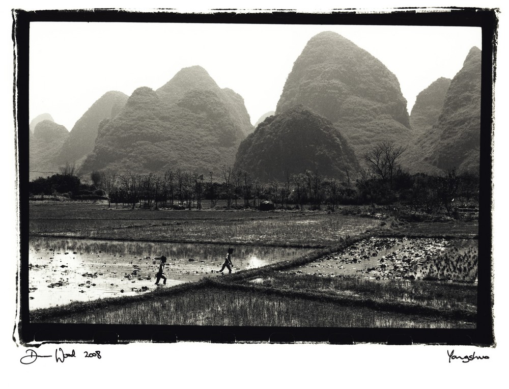 Kids in paddyfield,Yangshuo,China