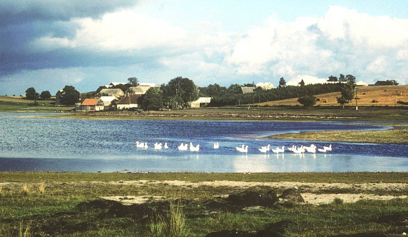 Kiedrau am See, Geburtsort meiner Eltern