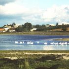 Kiedrau am See, Geburtsort meiner Eltern