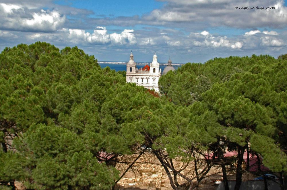 Kieferbäume umrahmen die Igreja de Sao Vincente de Fora