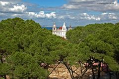 Kieferbäume umrahmen die Igreja de Sao Vincente de Fora