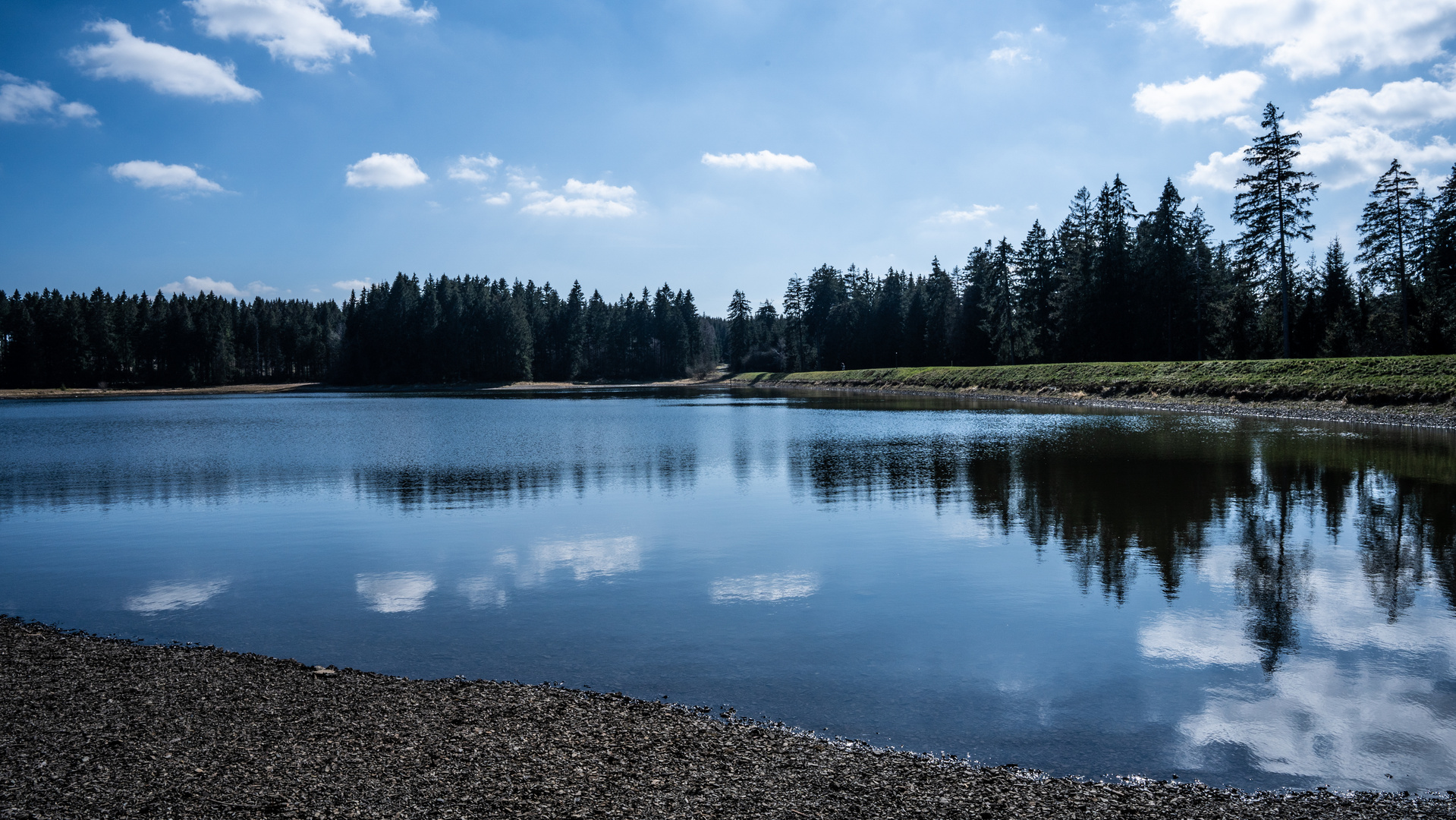 Kiefhölzer Teich im Oberharz