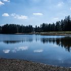 Kiefhölzer Teich im Oberharz