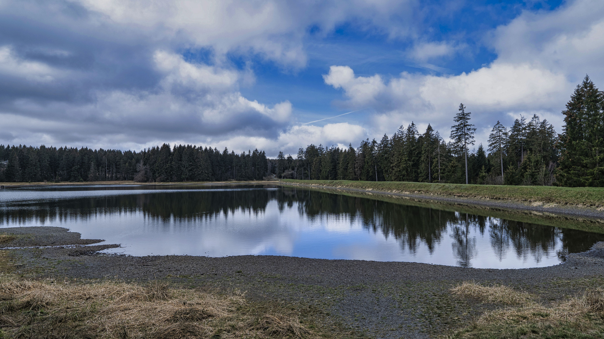 Kiefhölzer Teich im Oberharz ohne starken Wellengang