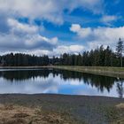 Kiefhölzer Teich im Oberharz ohne starken Wellengang