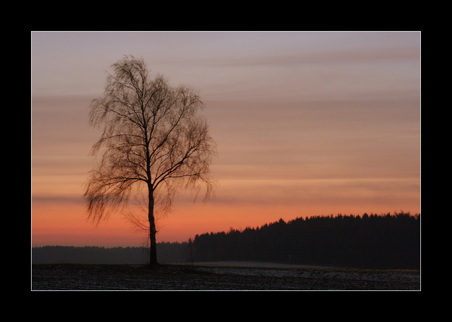 Kiek,wat is de Himmel so roat,