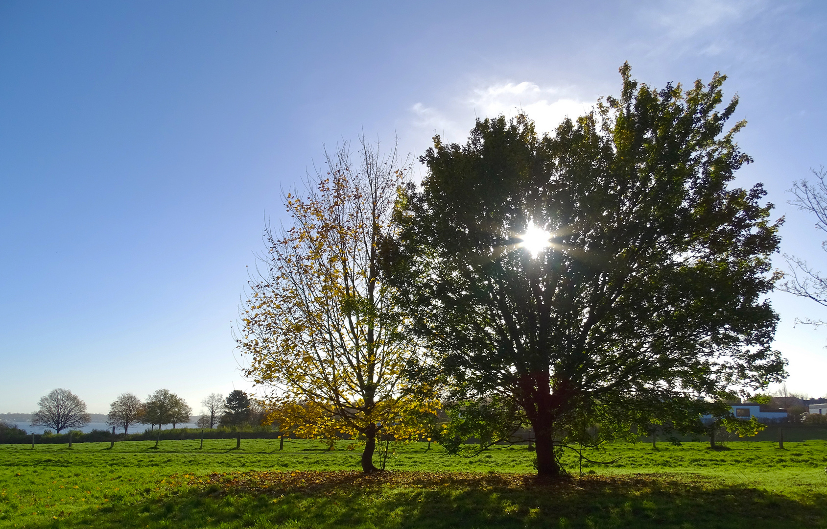 Kiel Schilksee im Herbst (1)