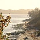 Kiel Schilksee im Herbst (2)