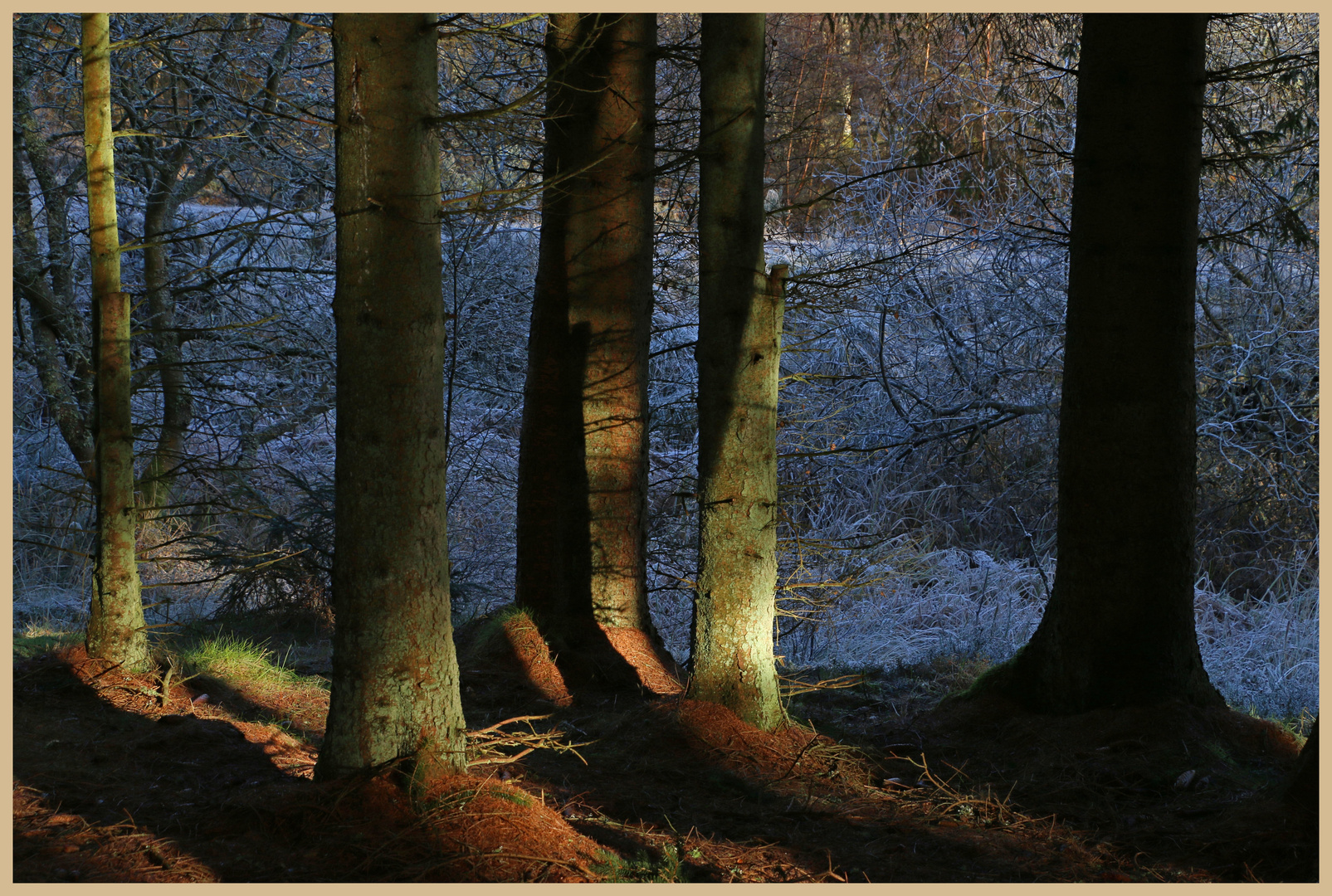 Kielder in winter 2A