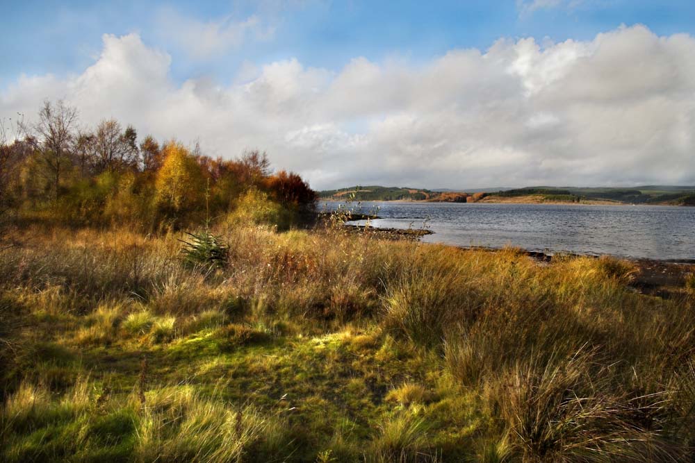 Kielder Water