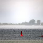 Kieler Förde