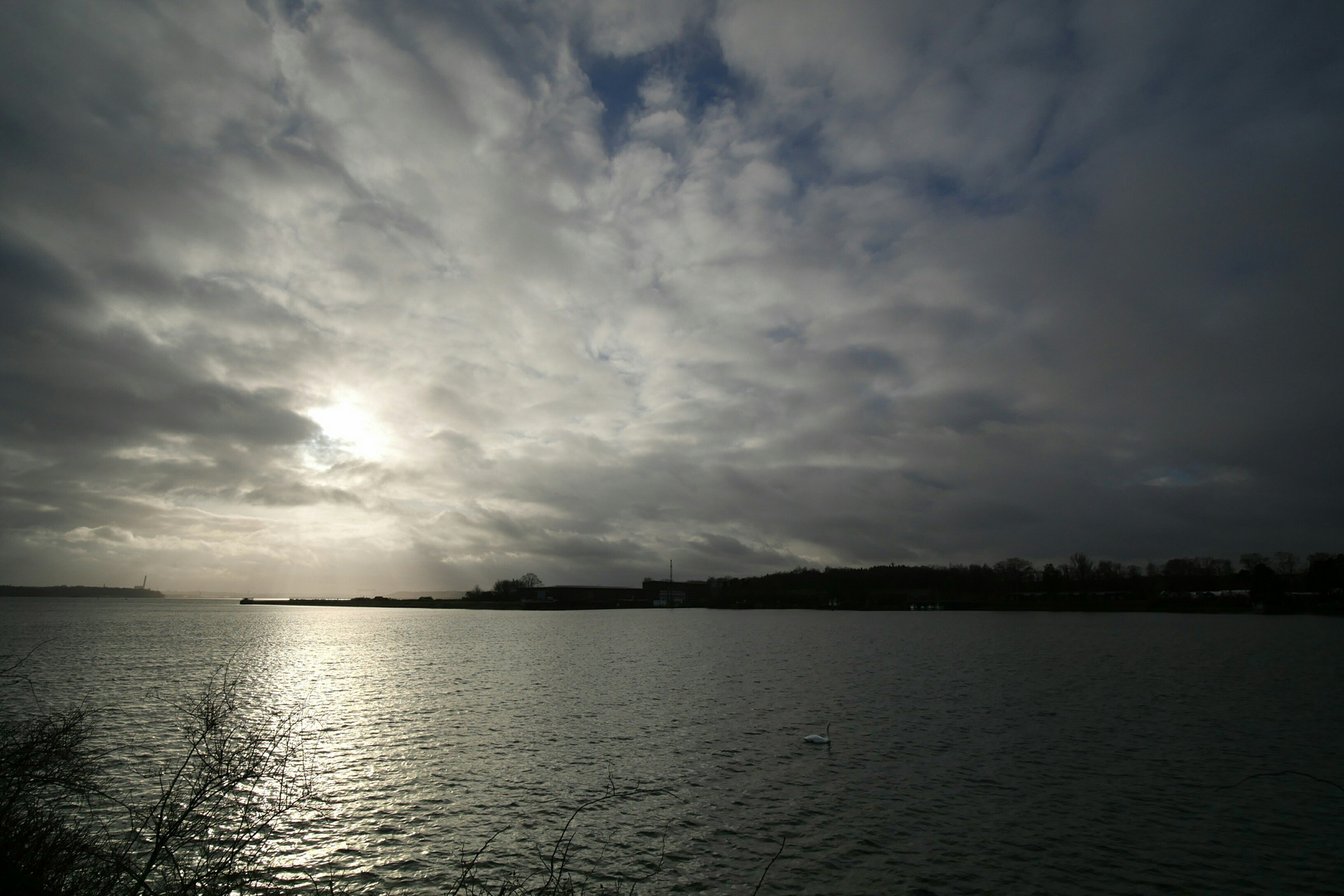 kieler förde mit schwan