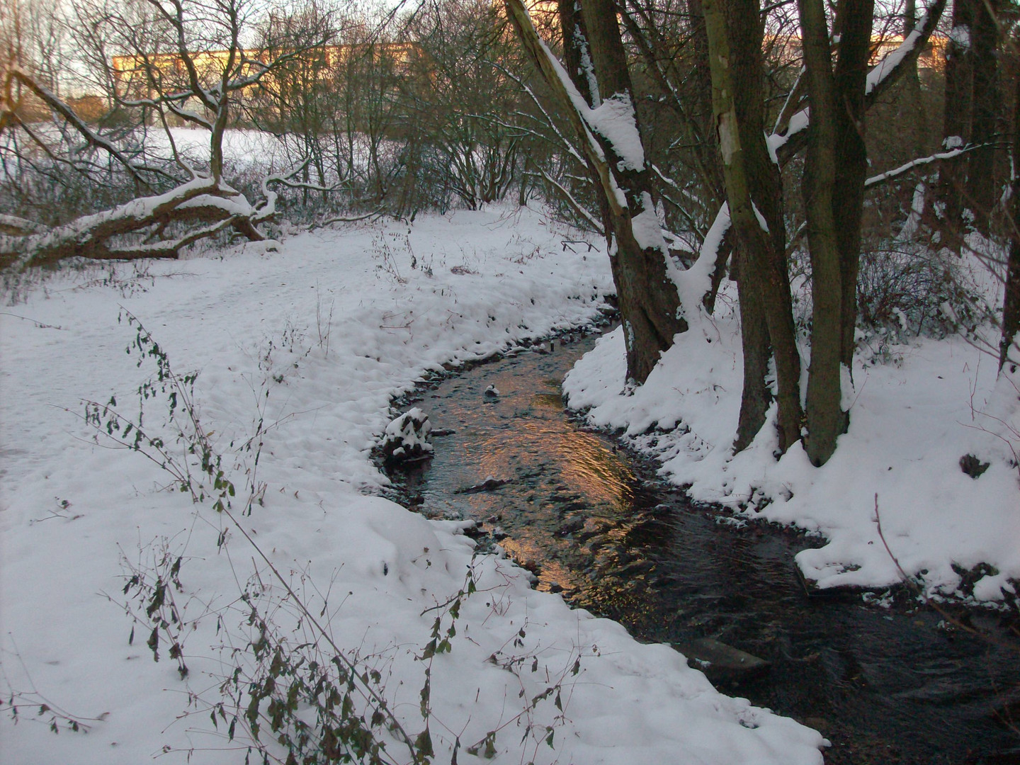 Kieler Tröndelau im Winter