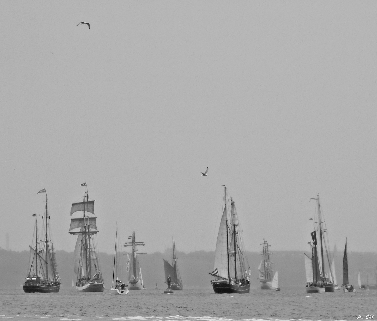 Kieler Woche VI