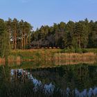 Kies auf der WEM Muskau 01