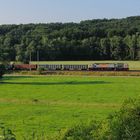 Kies aus Immelborn, Aufnahme bei Schönau (Hörsel), 250 004, Juli 2013