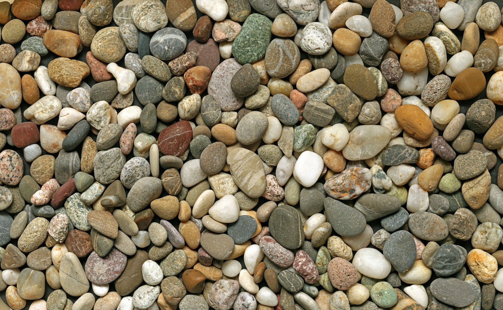 Kiesel Foto & Bild natur, umwelt, formen Bilder auf