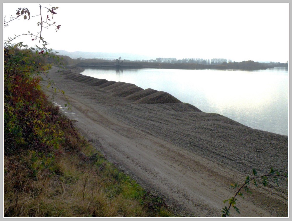 Kiesgewinnung I  ; Northeimer Kiessee im Nebel.