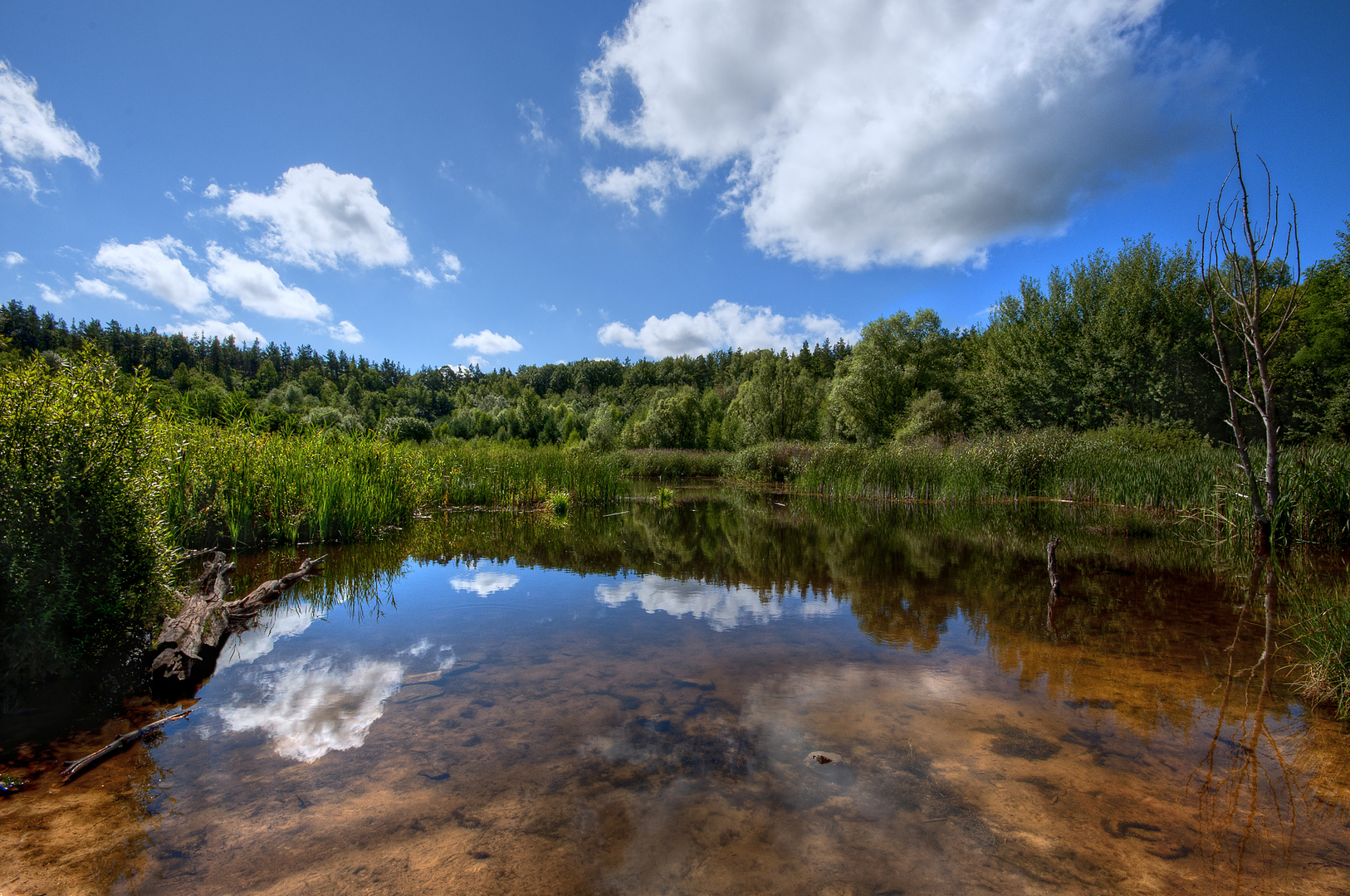 Kiesgrube im Grunewald