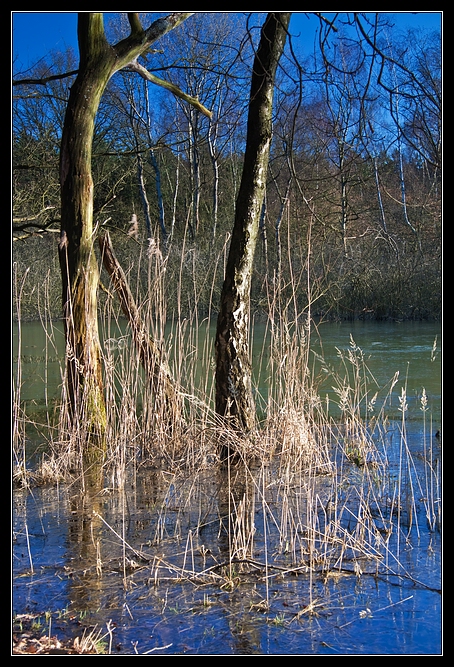 Kiesgrube Kirchheller Heide