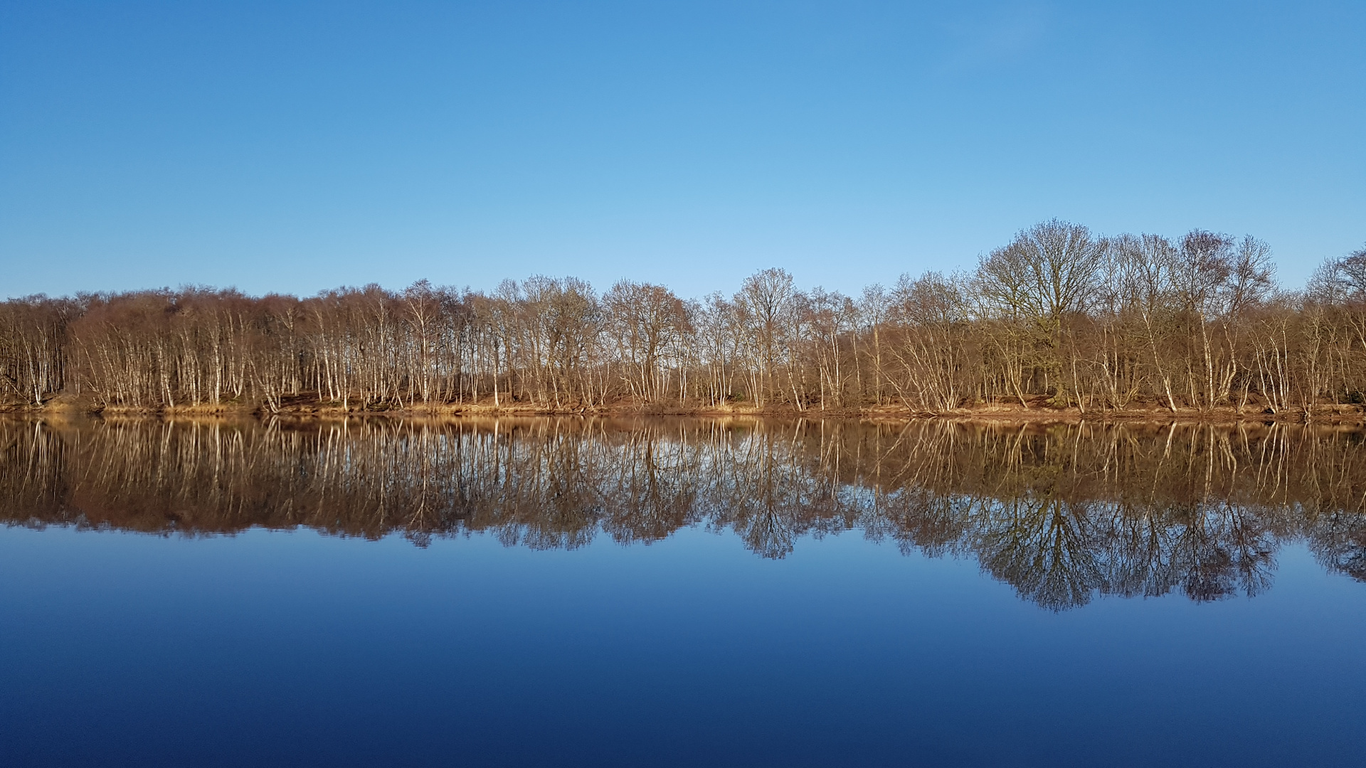 Kieskuhle in Roggenmoor , Galaxy S7 Edge