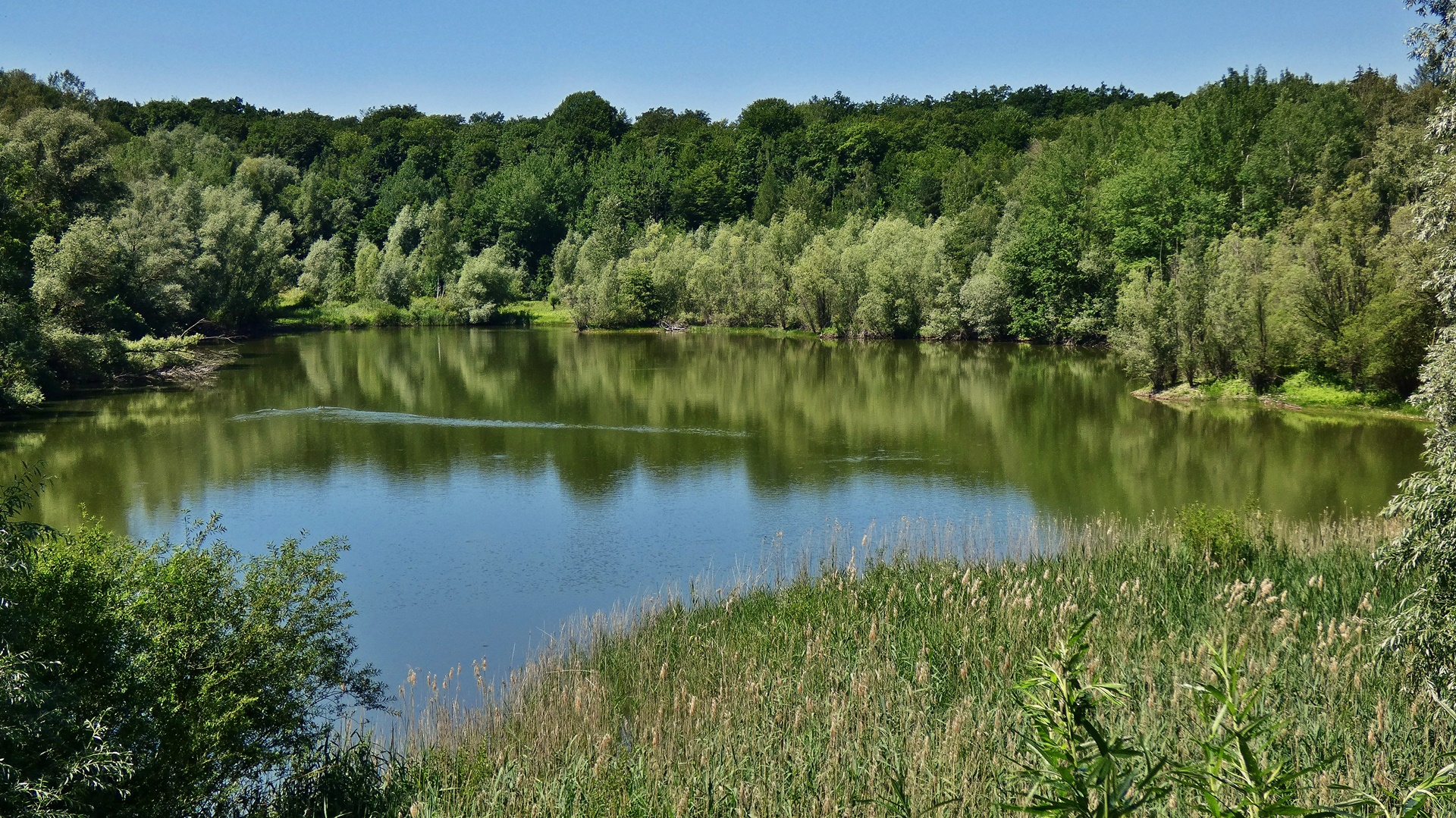 Kiessee im Solling