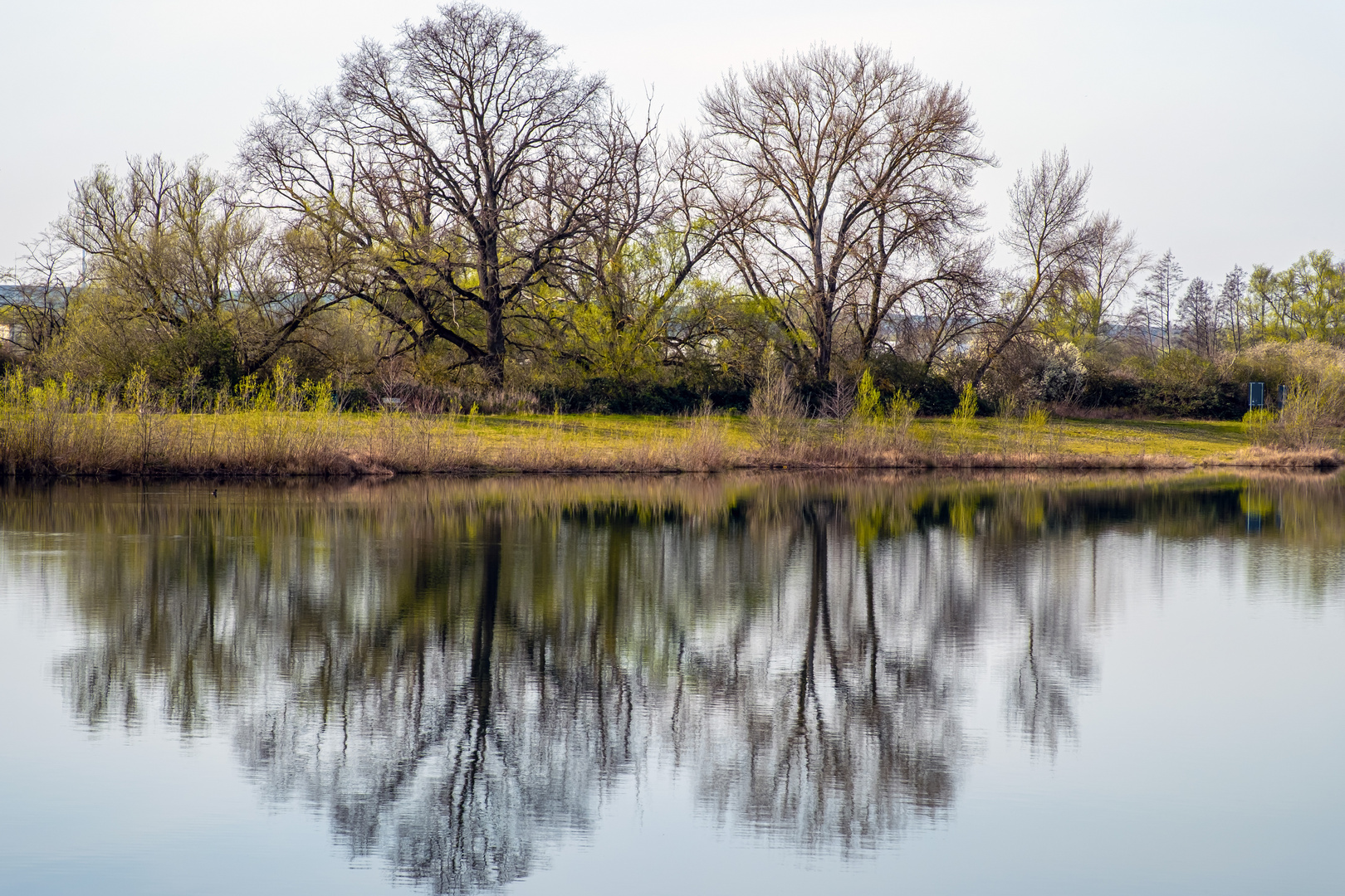 Kiessee in Eich