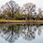 Kiessee in Eich