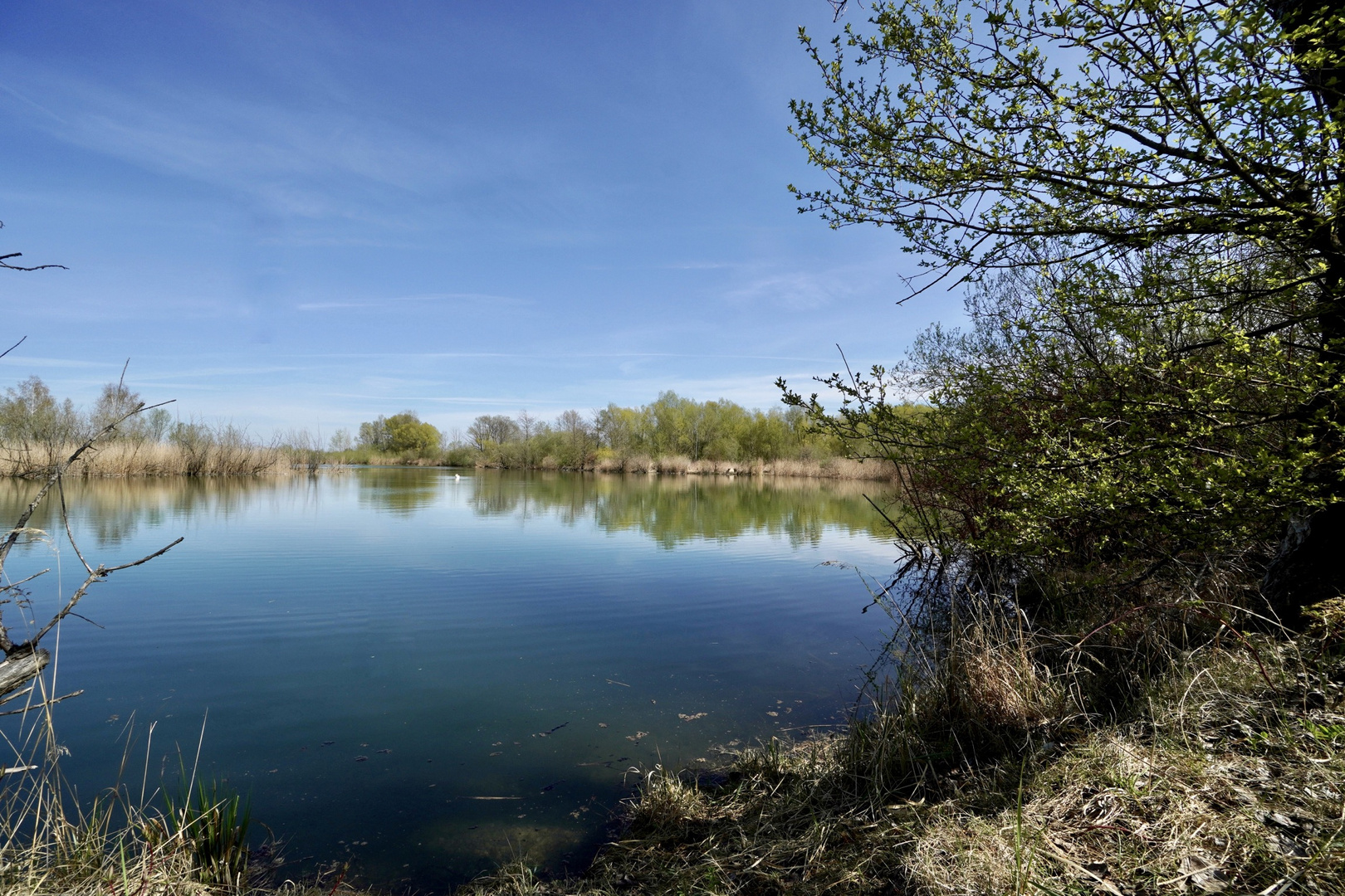 Kiesweiher nördlich von Erding