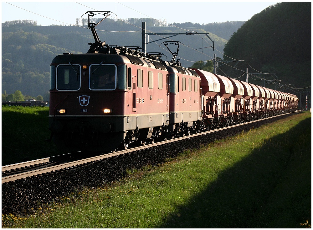 Kieszug aus dem Schatten