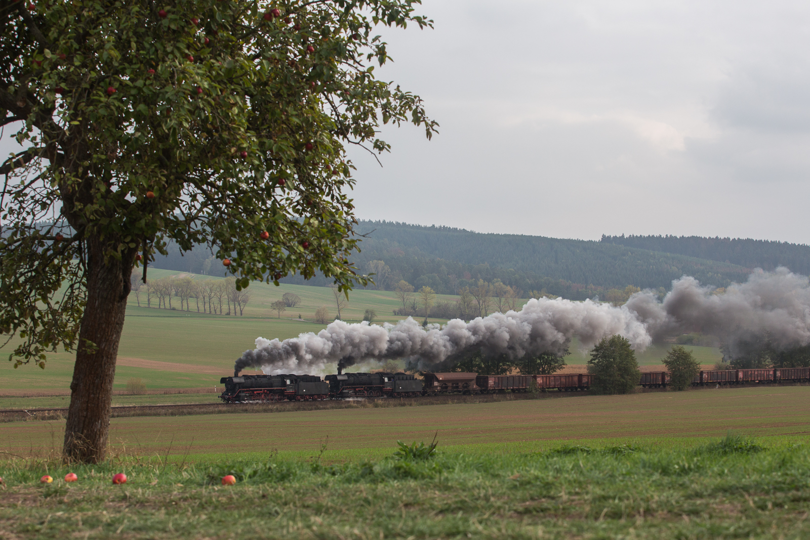 Kieszug trifft Apfelbaum 