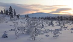 Kiilopää