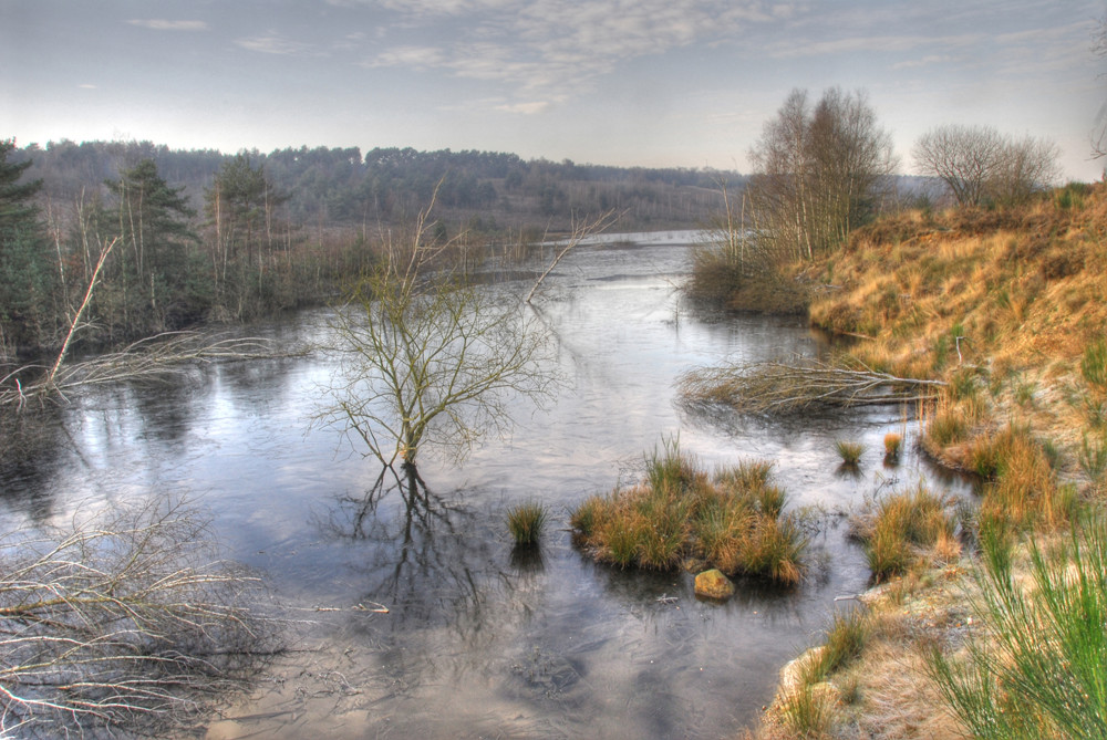 kikbeekbron