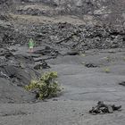 Kilauea Iki Trail