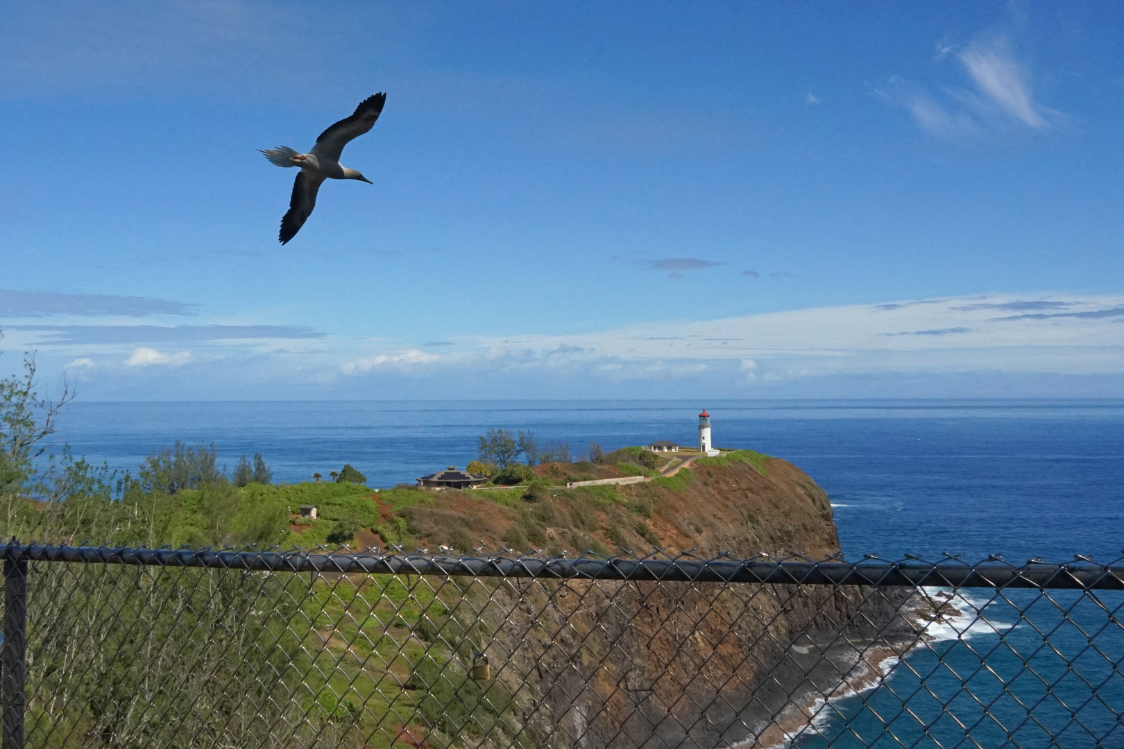 Kilauea Lighthouse