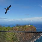 Kilauea Lighthouse