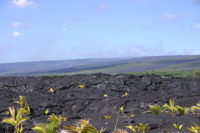 Kilauea - Mauna Loa