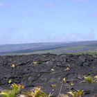 Kilauea - Mauna Loa