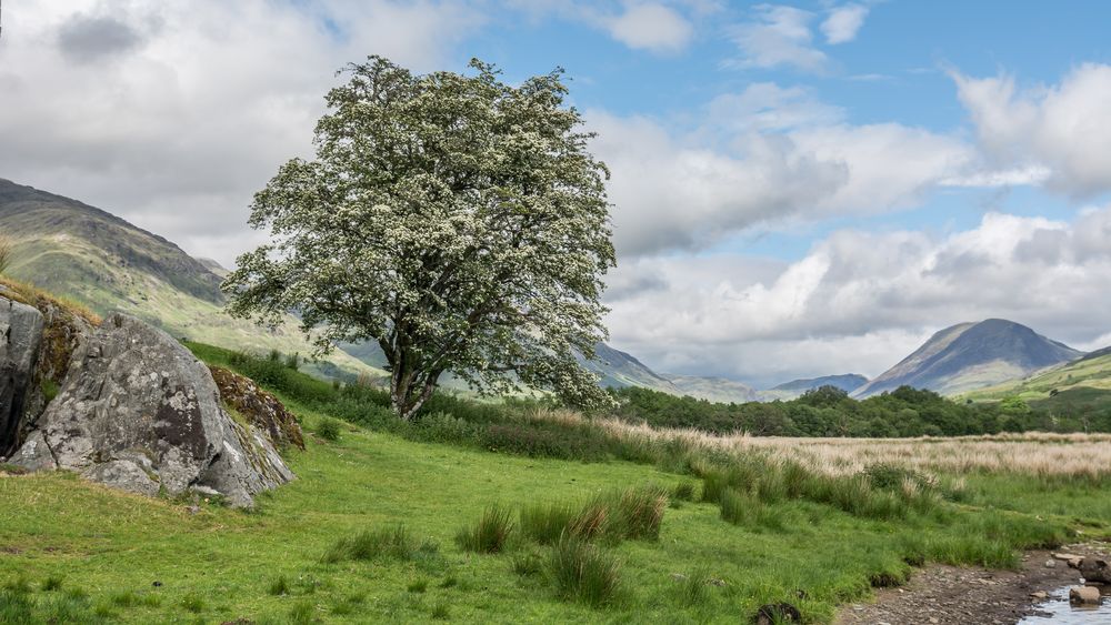 Kilchum Castle_Schottland Ausblick von der Burgruine