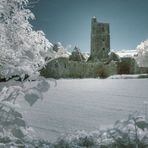 Kilcrea Friary