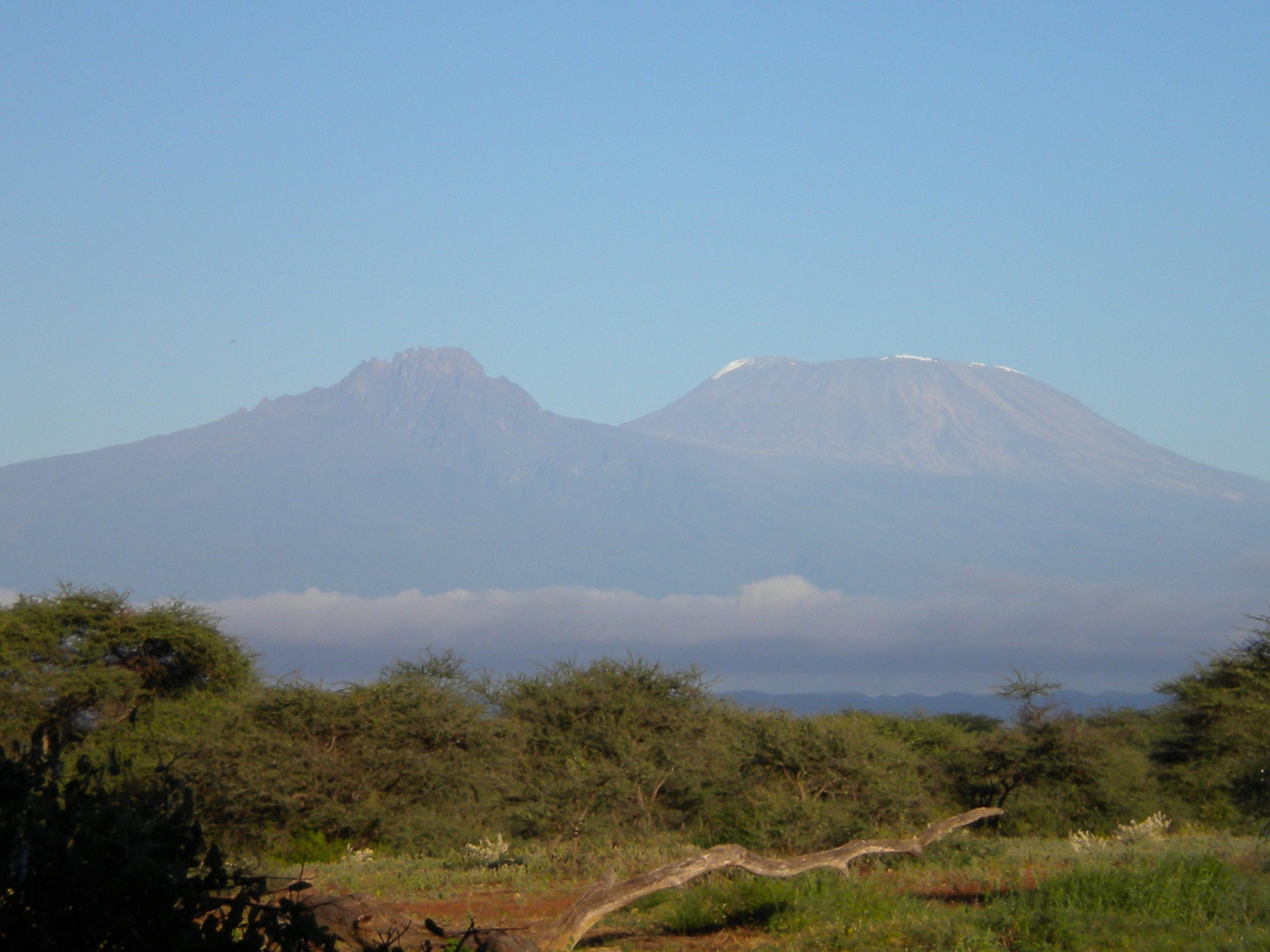 Kili 2010