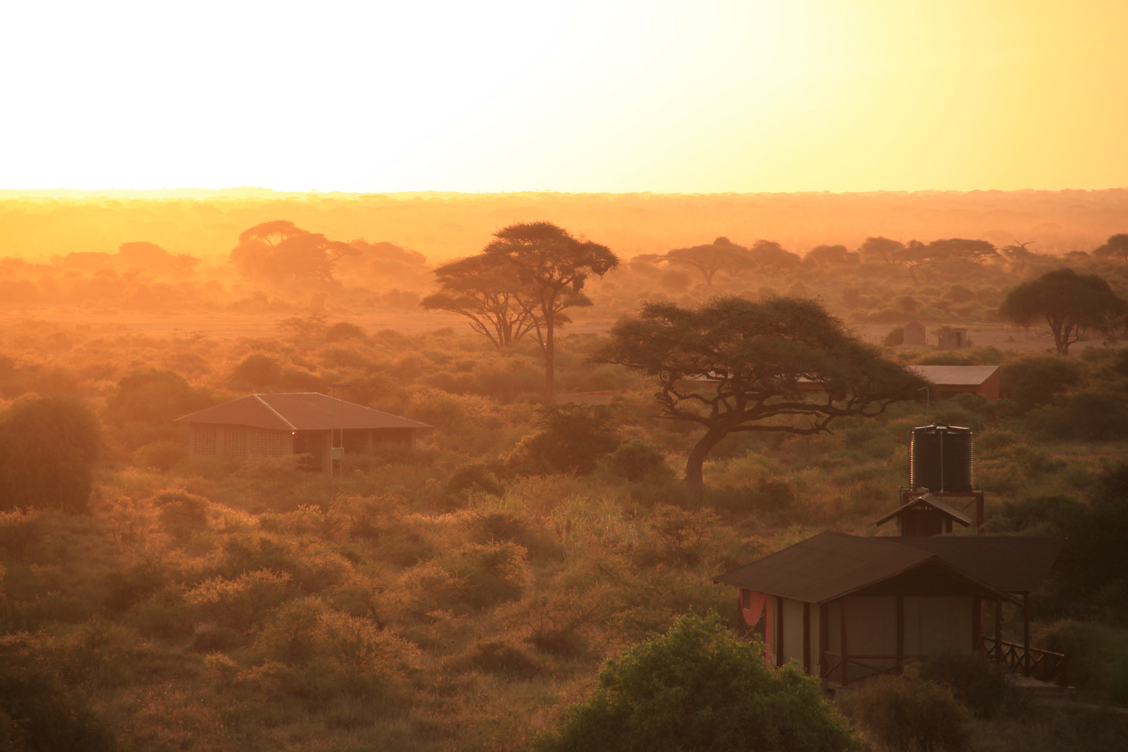 Kilima Safari Camp