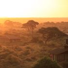 Kilima Safari Camp