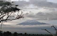 kilimandjaro dalla riserva