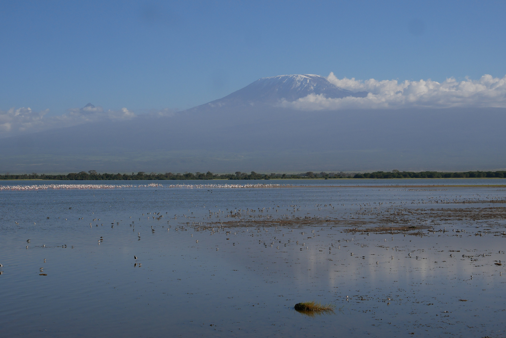 Kilimandscharo Ambuseli National-Park