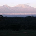 Kilimandscharo im ersten Morgenlicht