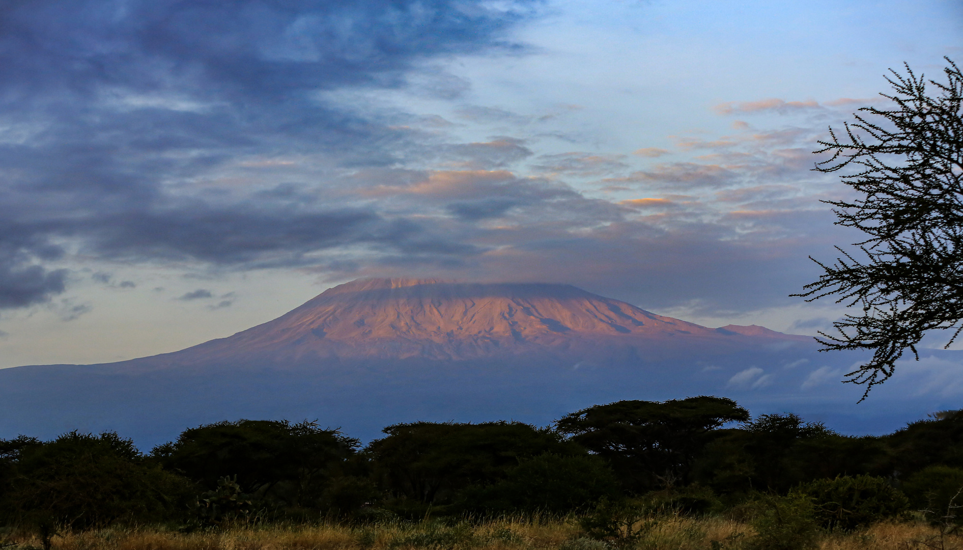 Kilimandscharo im ersten Morgenlicht