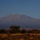 Kilimandscharo in der Morgensonne